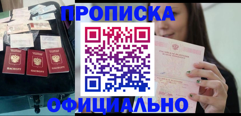 прописка законно в Шатуре